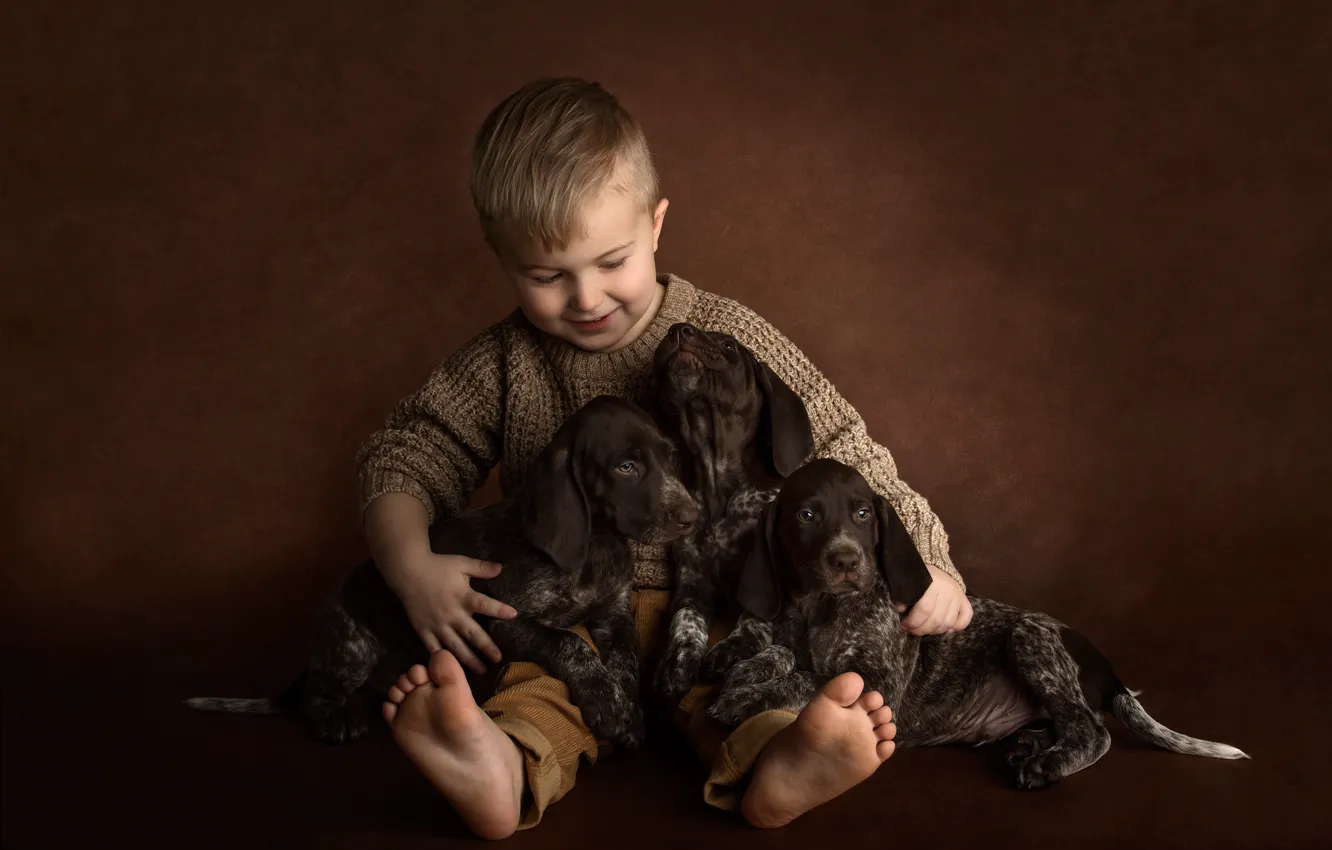 Фото обои собаки, фон, настроение, мальчик, щенки, трио, друзья, пёсики