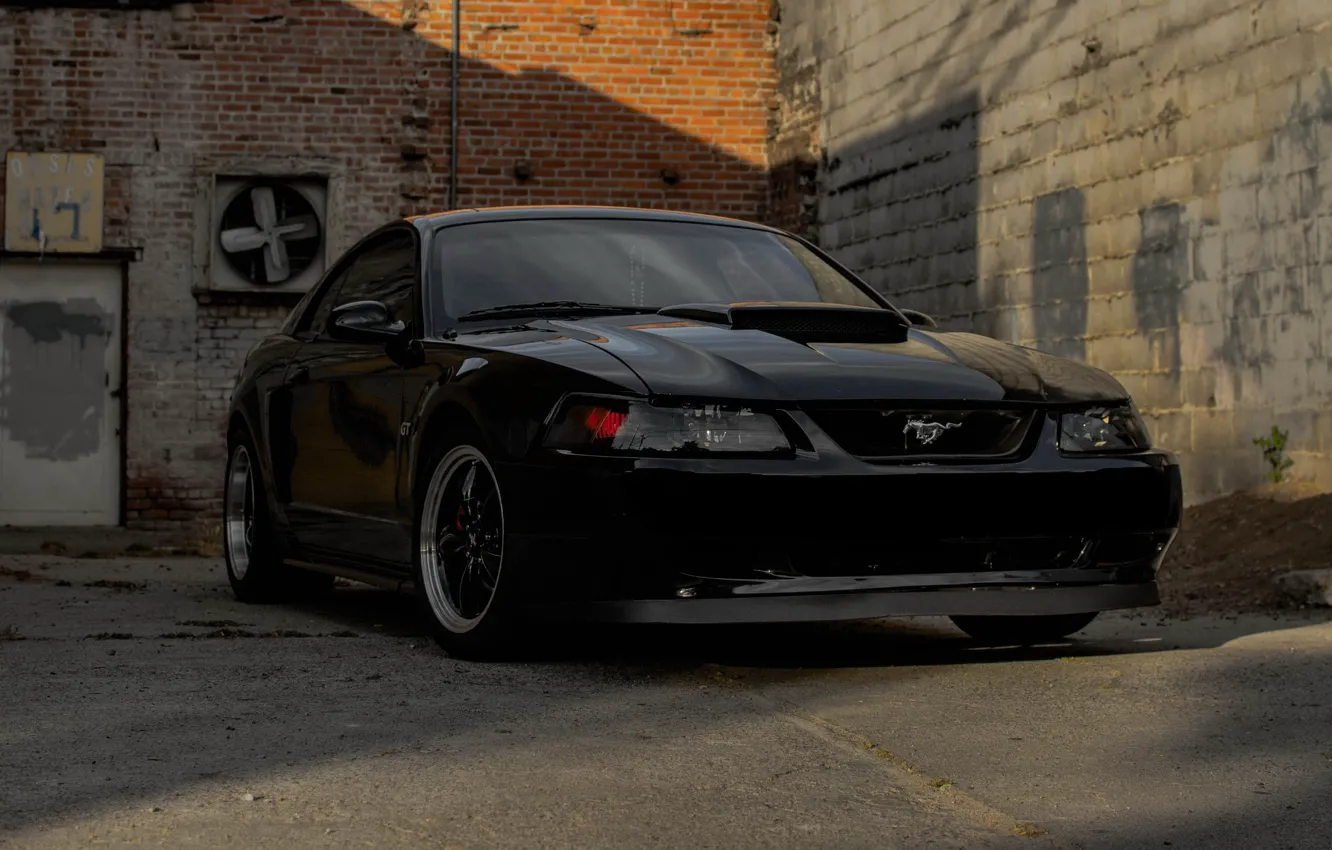 Фото обои Mustang, Black, 2004