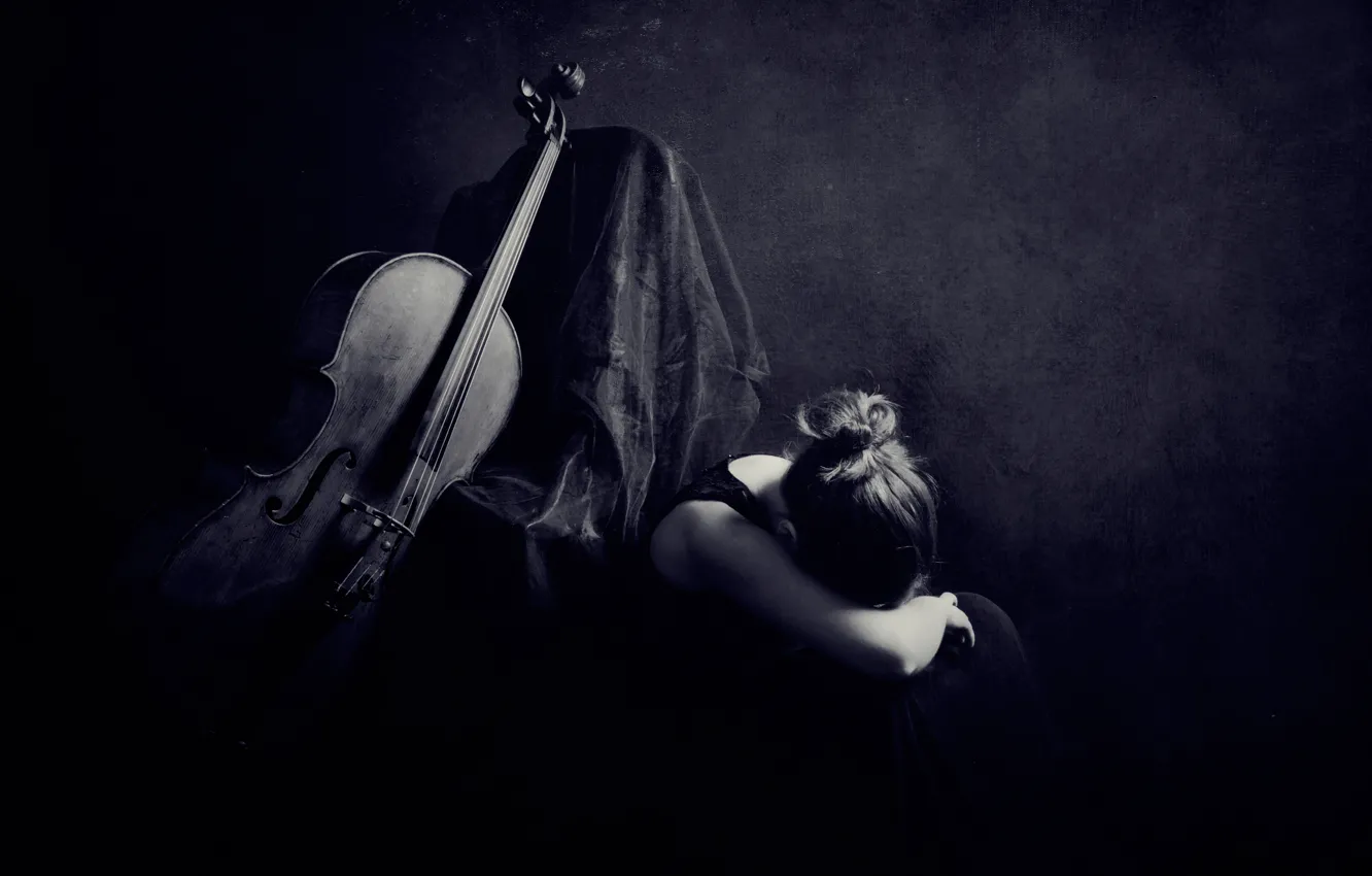 Фото обои девушка, виолончель, Silence