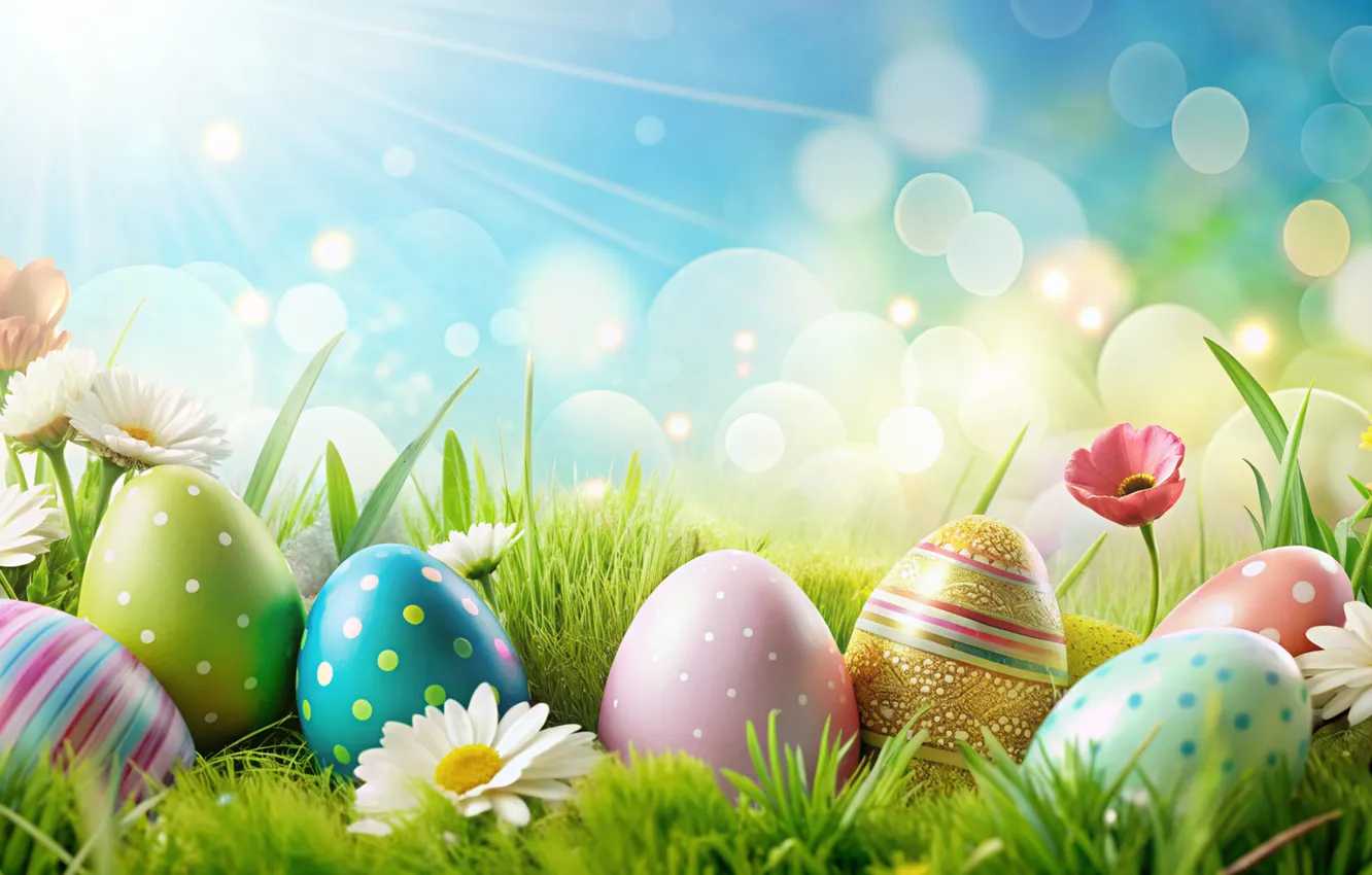 Фото обои цветы, яйца, весна, colorful, Пасха, happy, flowers, spring