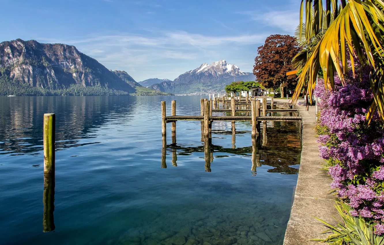 Фото обои горы, озеро, Швейцария, Switzerland, Weggis, Canton of Lucerne