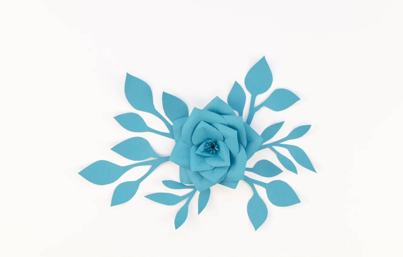 Фото обои белый, цветок, бумага, фон, голубой