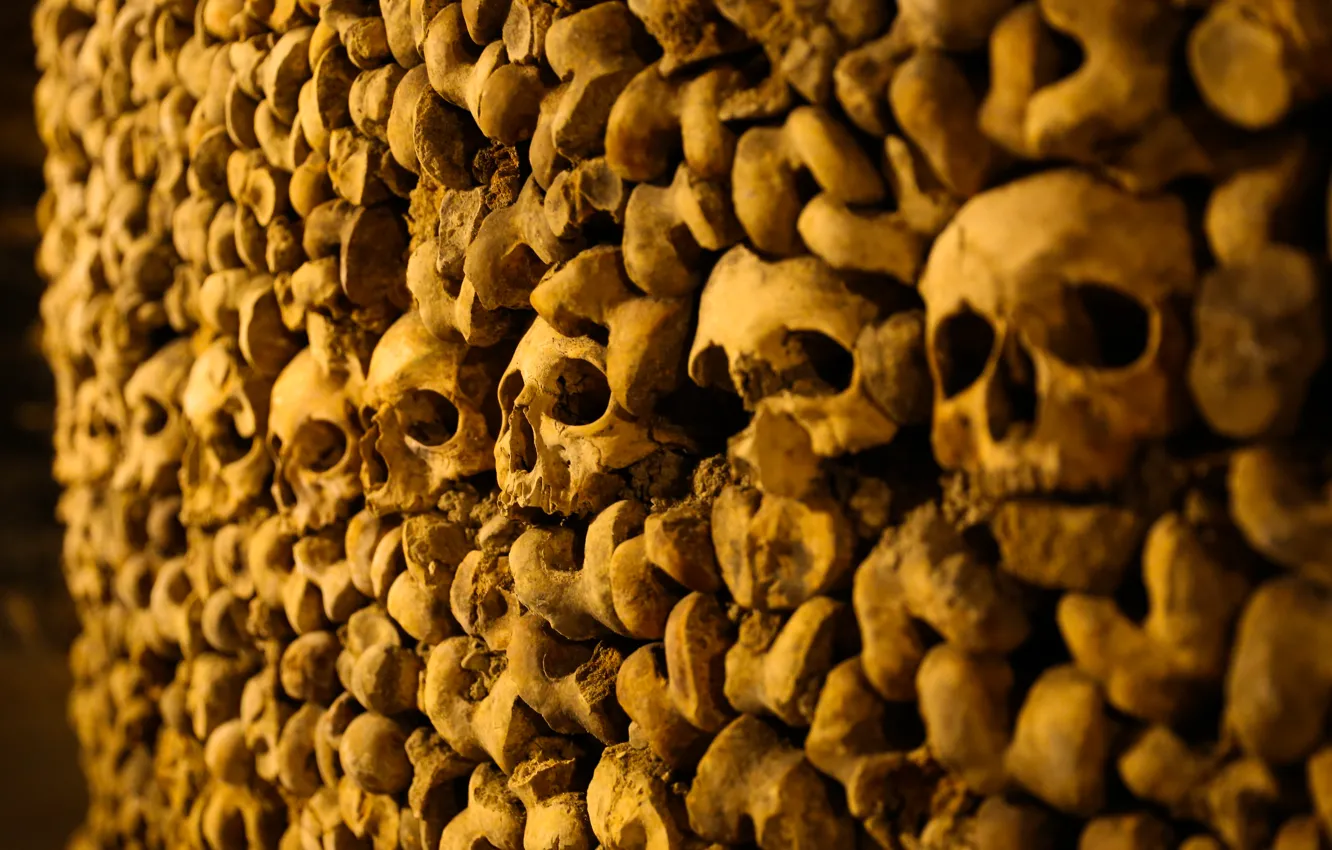 Фото обои Париж, кости, черепа, Катакомбы