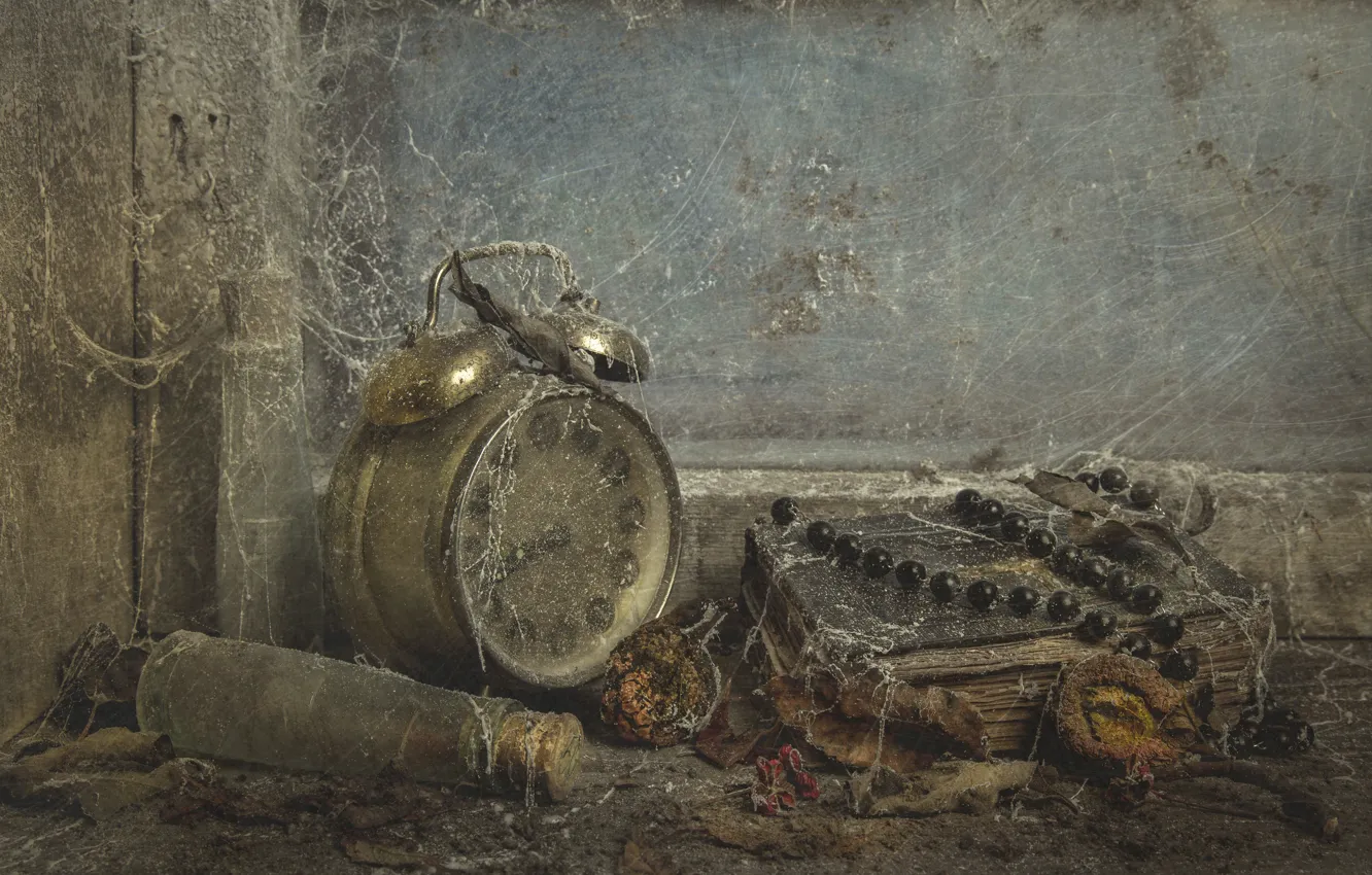 Фото обои часы, паутина, пыль, будильник, чётки, натурализм, старая книга