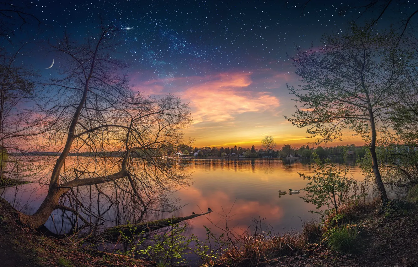 Фото обои небо, звезды, деревья, отражение, река
