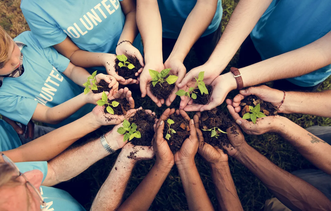 Фото обои children, planting, seedlings