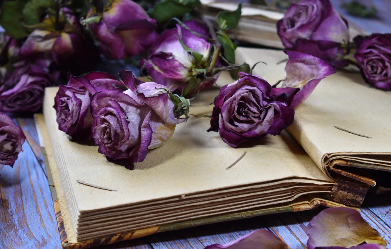 Фото обои цветы, стол, розы, лепестки, книга, винтаж, Victoria Dunn