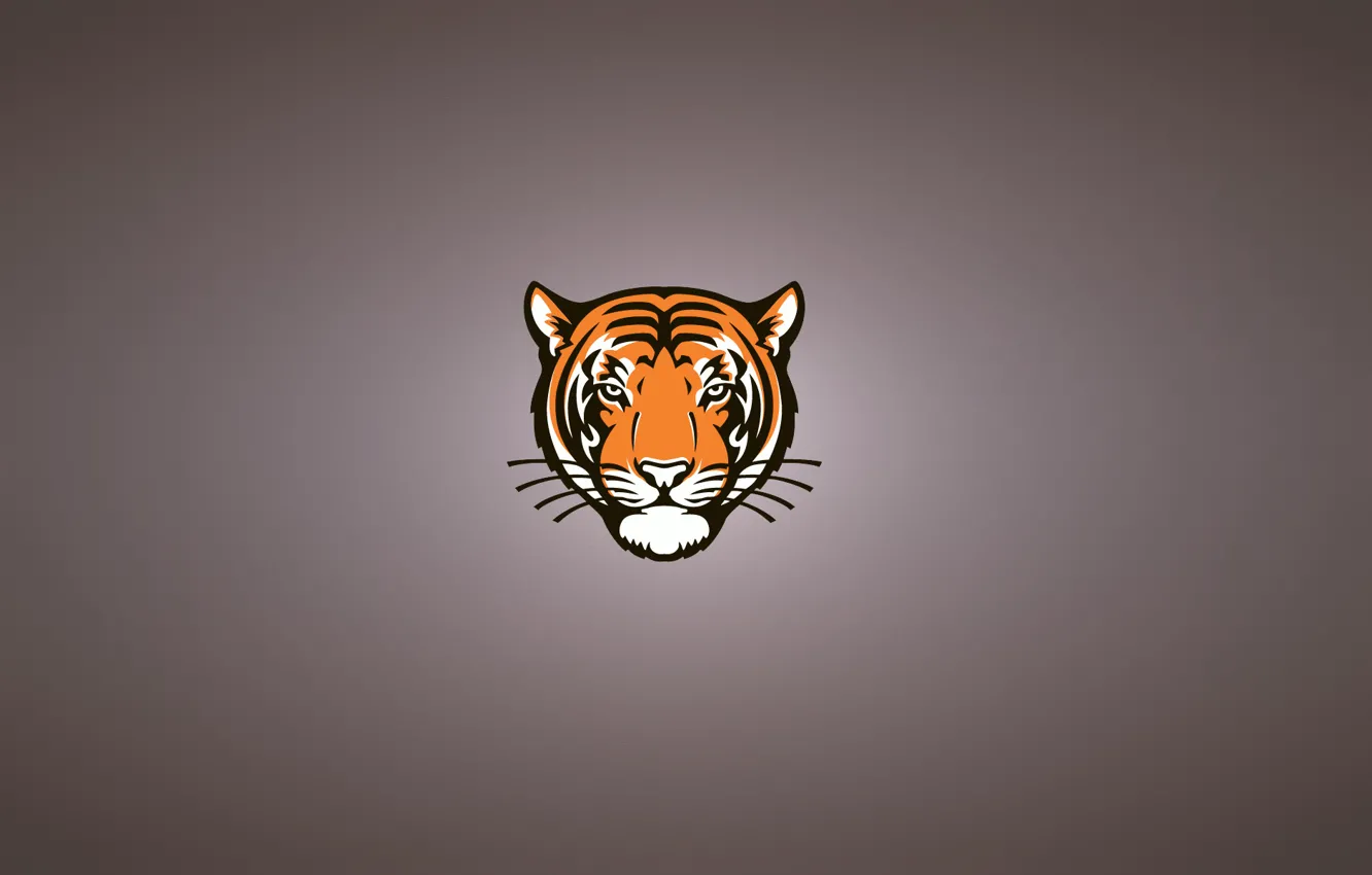 Фото обои морда, тигр, минимализм, голова, серьезный, tiger, усатый