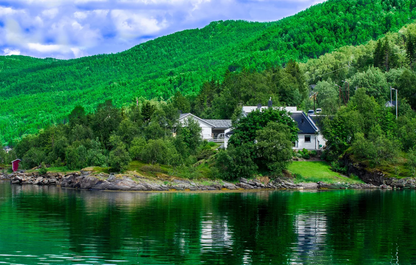 Фото обои лес, небо, облака, деревья, дом, склон, залив, норвегия