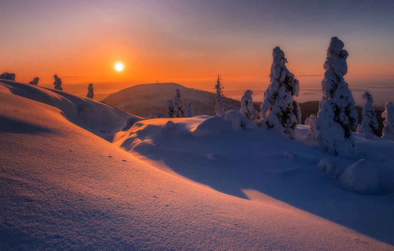 Фото обои зима, снег, деревья, закат, гора, сугробы, Россия, Мурманская область