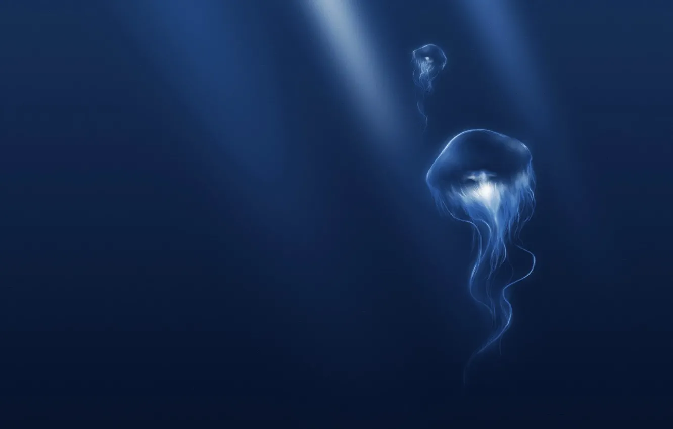 Фото обои синий, медуза