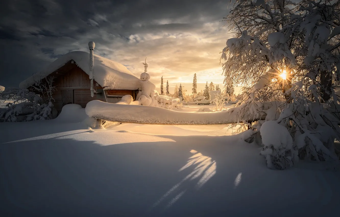 Фото обои зима, солнце, лучи, снег, деревья, пейзаж, природа, дом