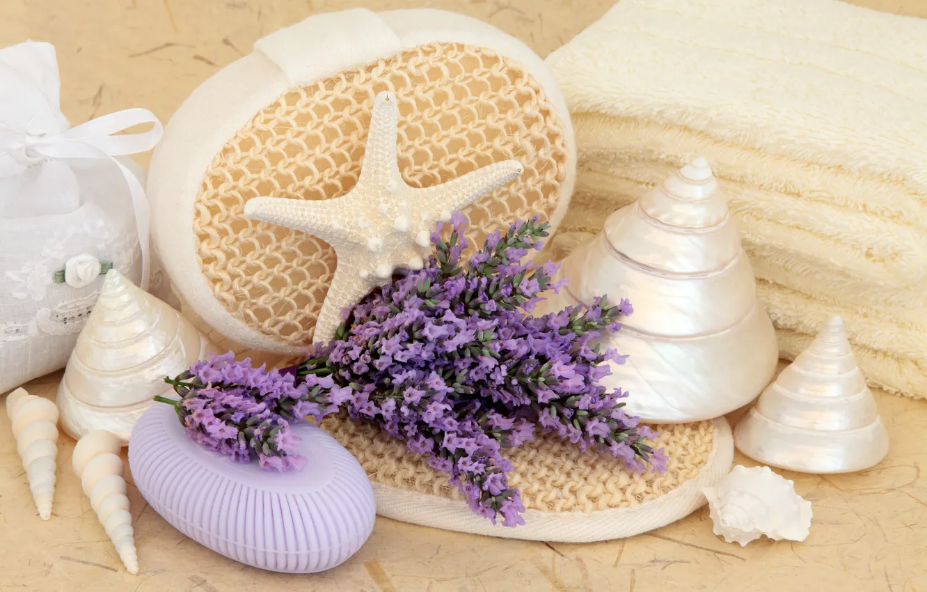 Фото обои цветы, мыло, ракушки, flowers, bath, лаванда, still life, lavender