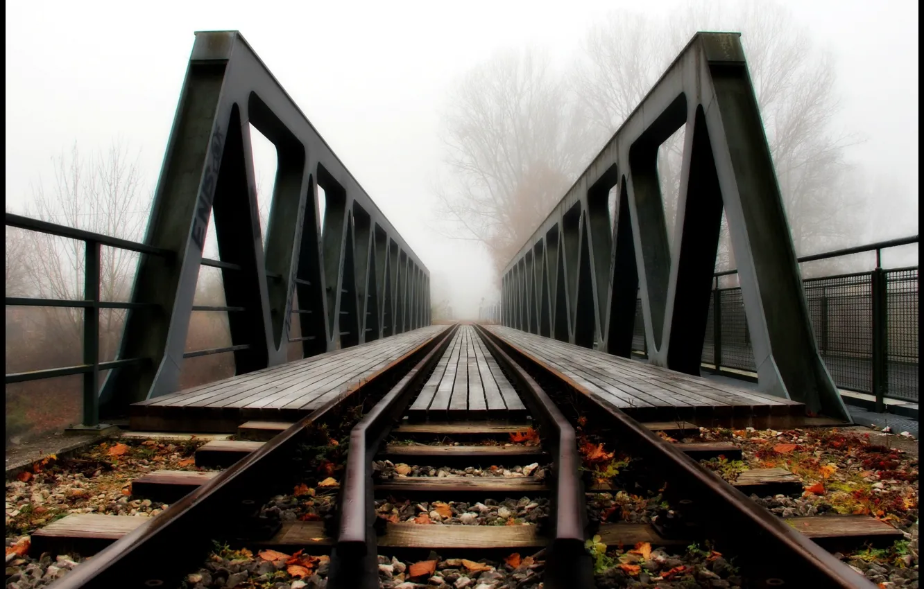 Фото обои Мост, Деревья, Листья, Железная дорога, Рельсы, Туман.