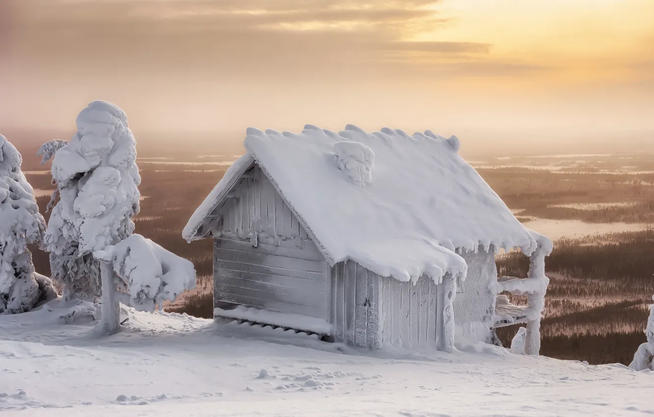 Фото обои зима, снег, деревья, пейзаж, природа, избушка, домик, леса