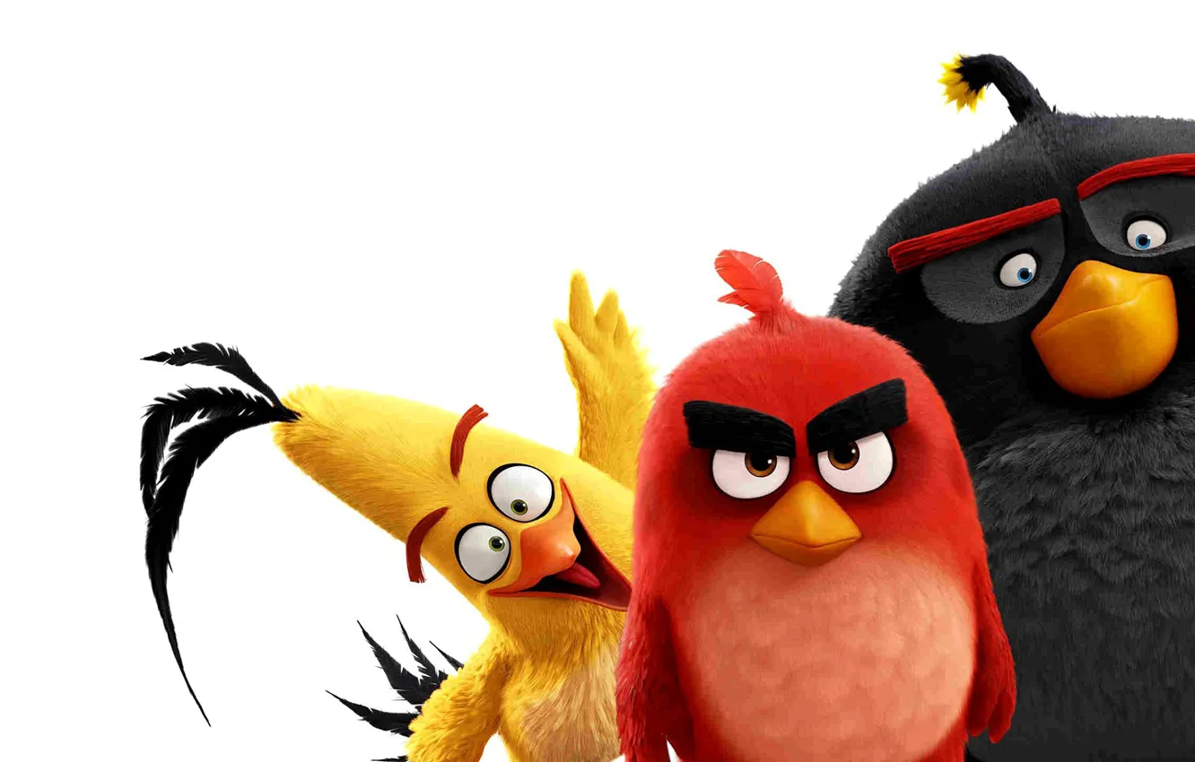 Фото обои Red, game, birds, film, pose, friends, animated, angry