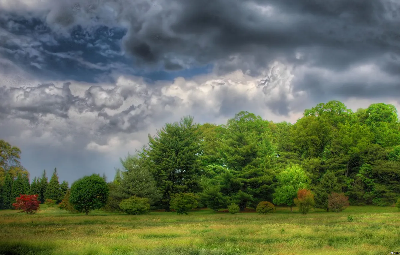 Фото обои Clouds, trees, nature, dark sky