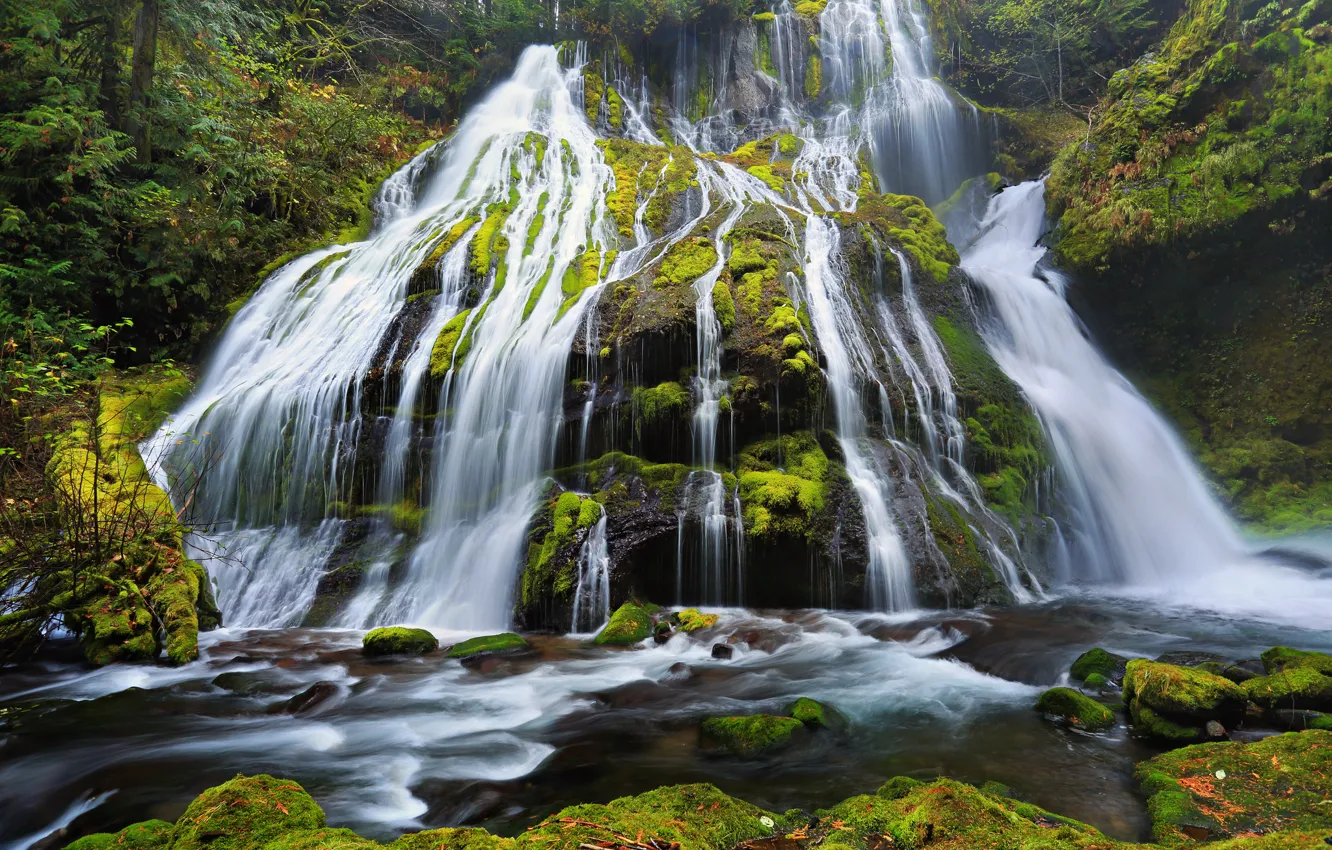 Фото обои камни, мох, Орегон, Oregon, Columbia River Gorge, Panther Creek Falls