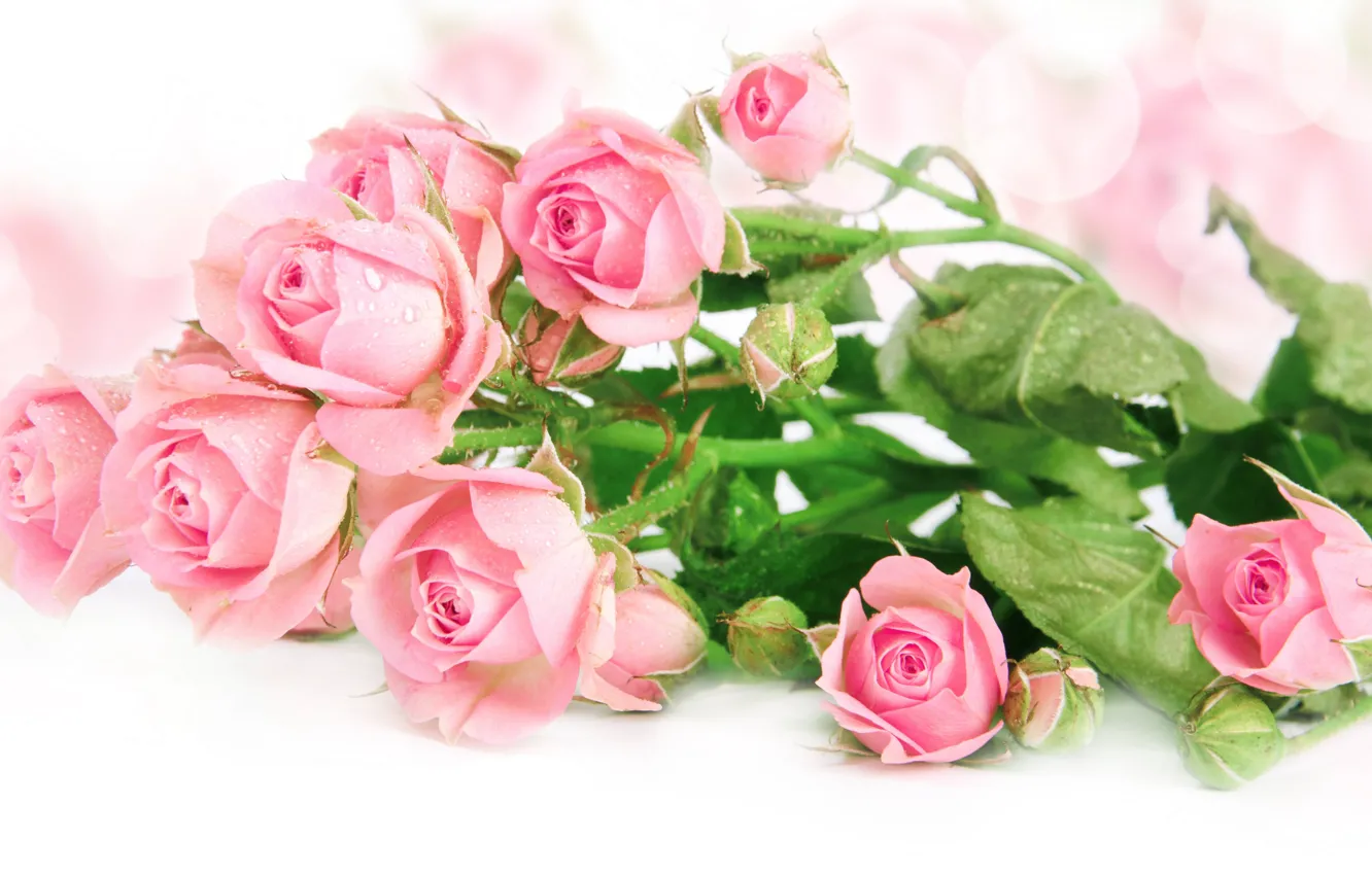 Фото обои цветы, розы, букет, лепестки, розовые, бутоны, декор, композиция