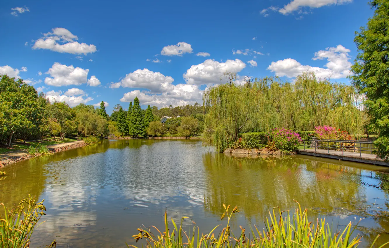 Фото обои зелень, небо, трава, солнце, облака, деревья, цветы, пруд