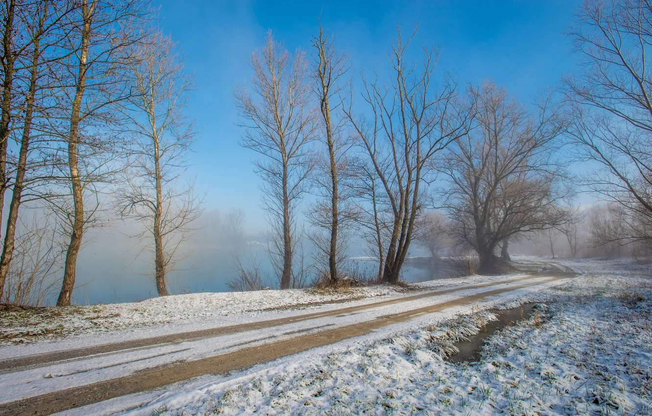 Фото обои дорога, снег, деревья, озеро