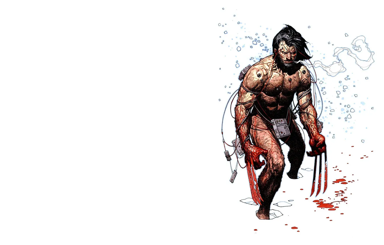 Фото обои зима, снег, кровь, когти, Росомаха, Логан, Wolverine, Logan