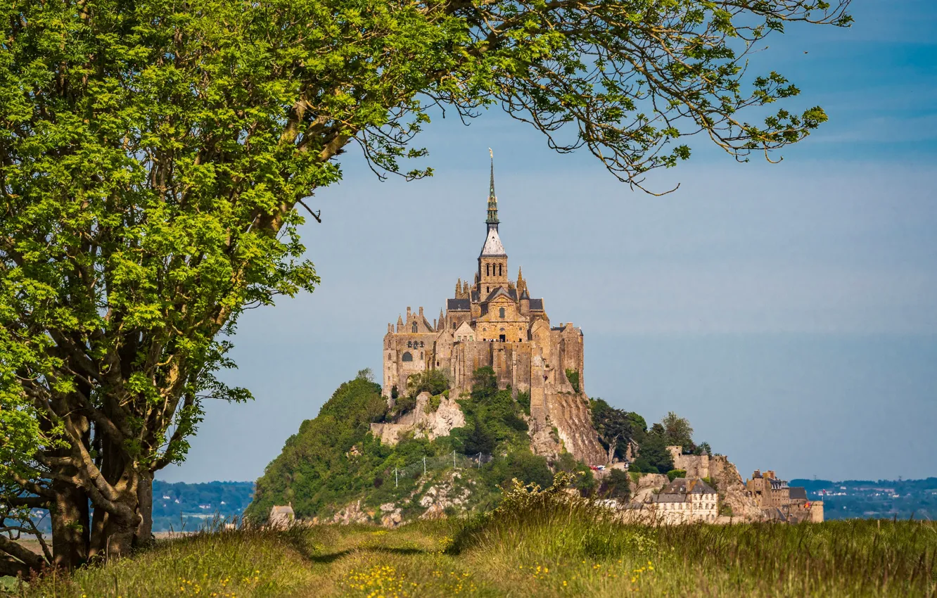 Фото обои деревья, скала, Франция, крепость, France, Нормандия, Normandy, Мон-Сен-Мишель