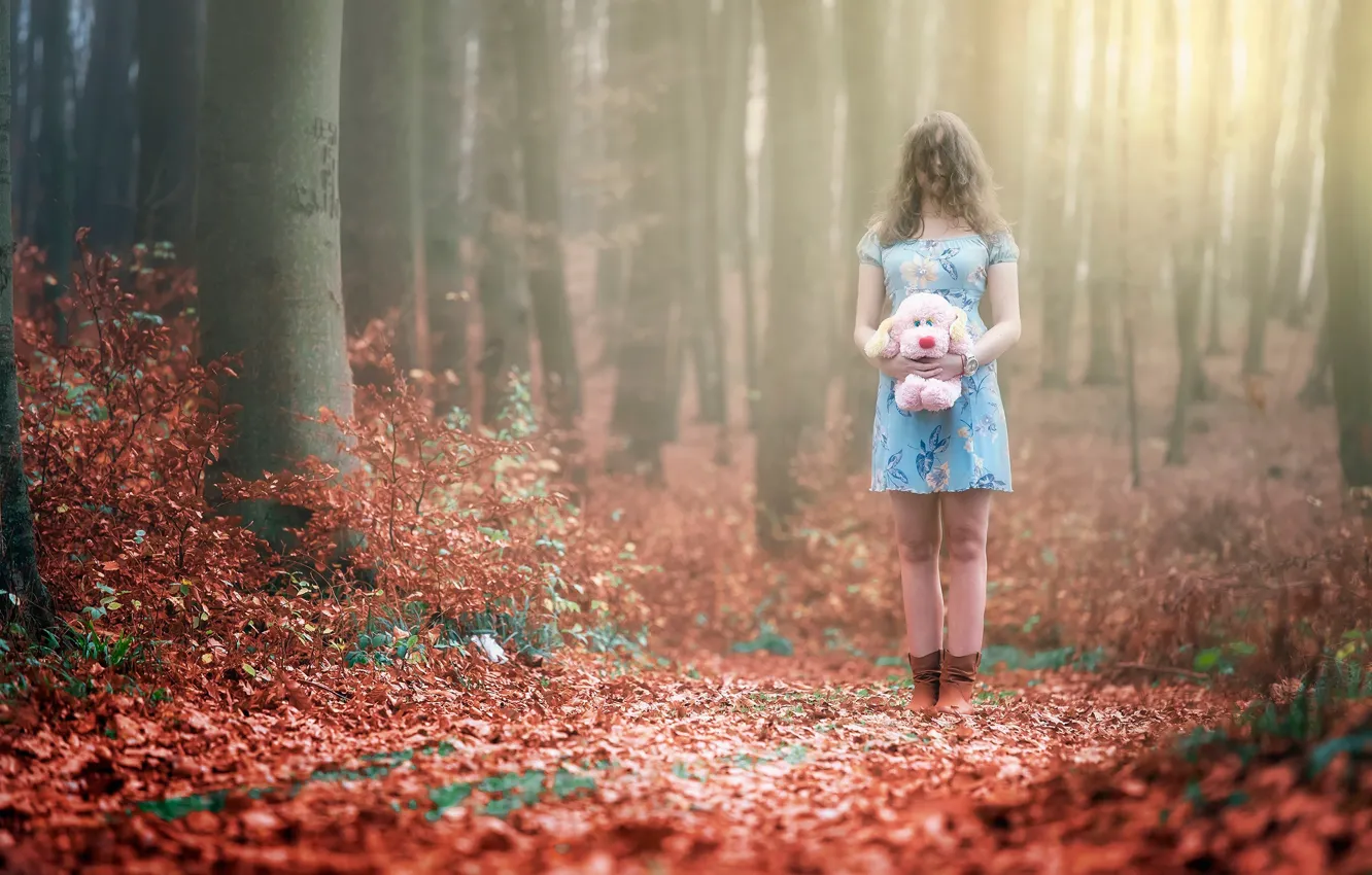 Фото обои осень, лес, игрушка, девочка