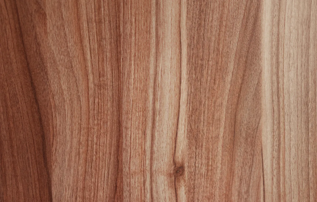 Фото обои wall, wood, pattern