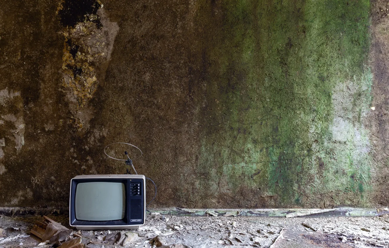 Фото обои стена, телевизор, натурализм