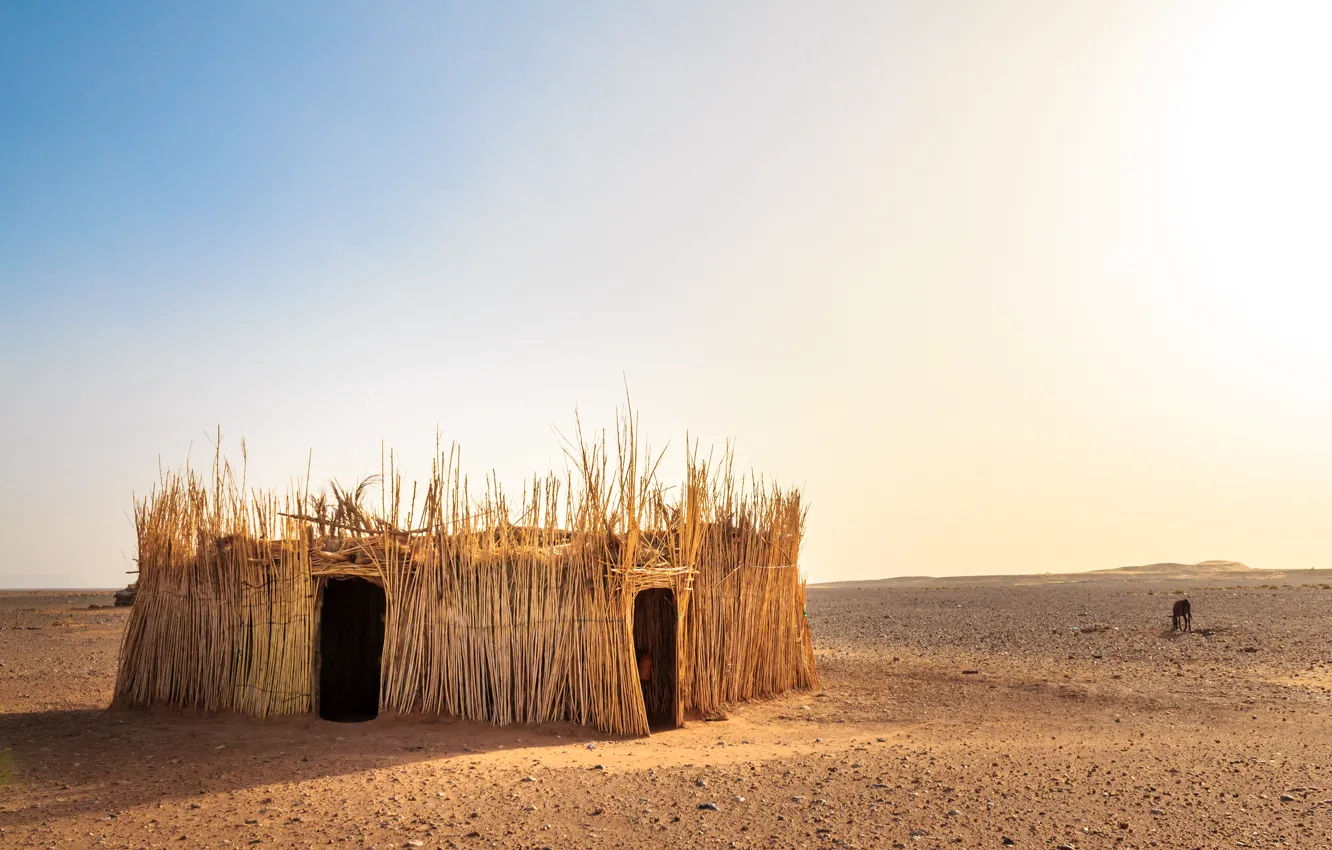 Фото обои природа, пустыня, хижина, Morocco, the Western Sahara Desert
