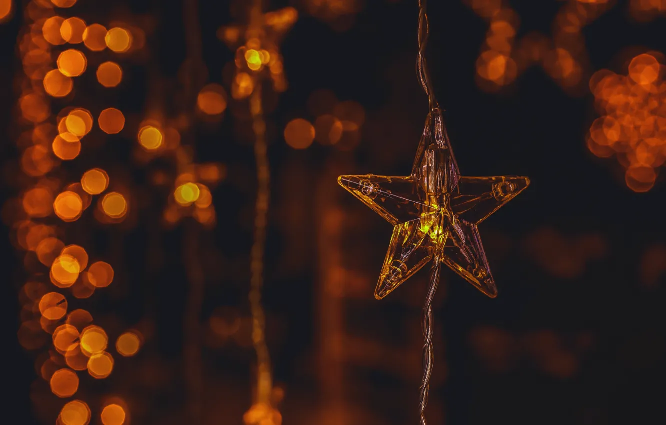 Фото обои зима, темный фон, праздник, звезда, огоньки, Рождество, Новый год, гирлянда