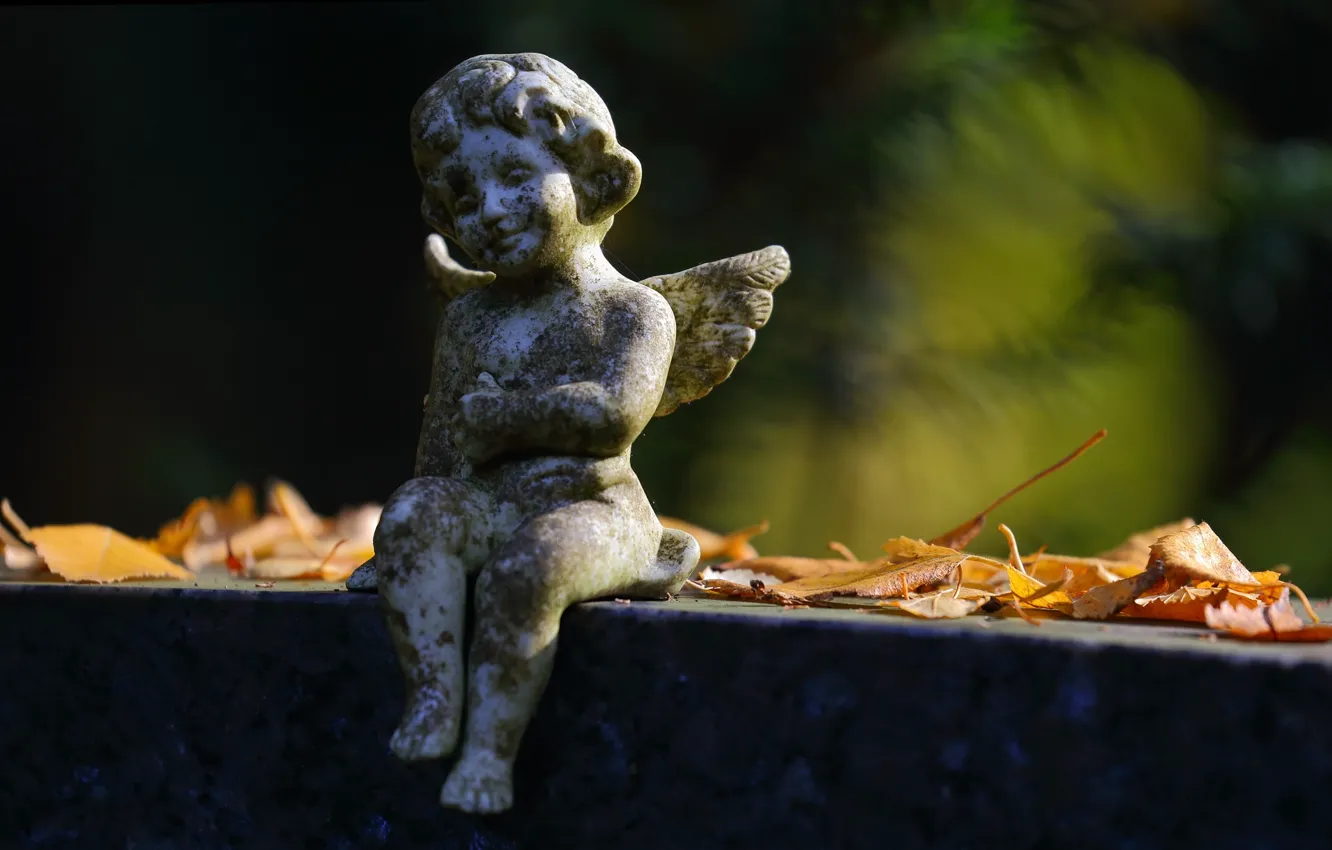 Фото обои осень, листья, скульптура, ангелочек