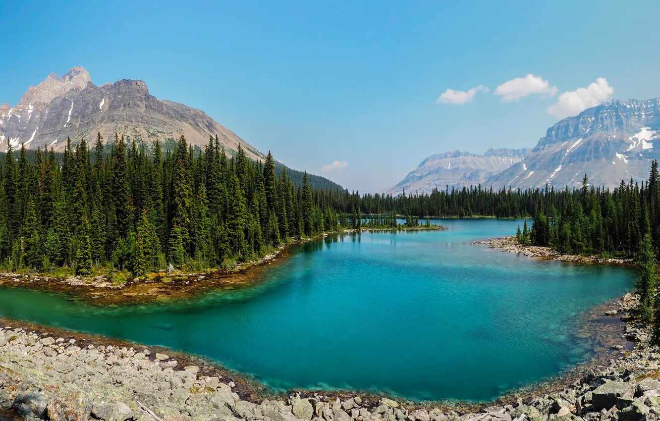 Фото обои лес, деревья, горы, озеро, камни, Канада, Yoho National Park