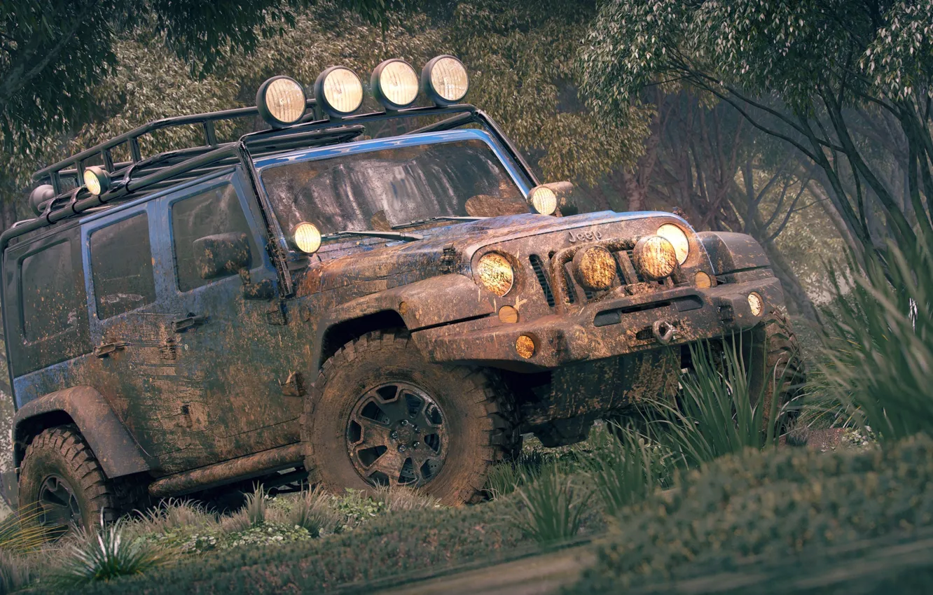 Фото обои транспорт, растительность, грязь, автомобиль, Лесной Jeep