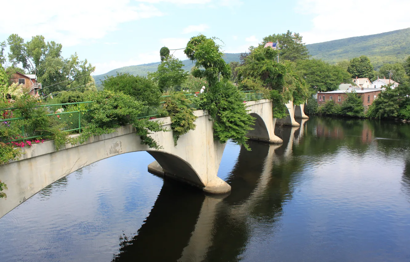 Фото обои зелень, мост, природа, река, green, деревня, Nature, river