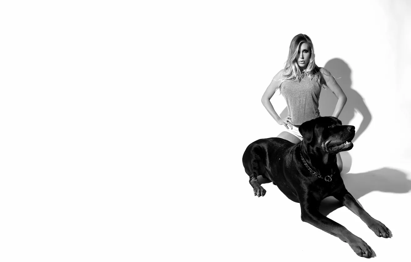 Фото обои собака, Черно - белое, nicole-aniston
