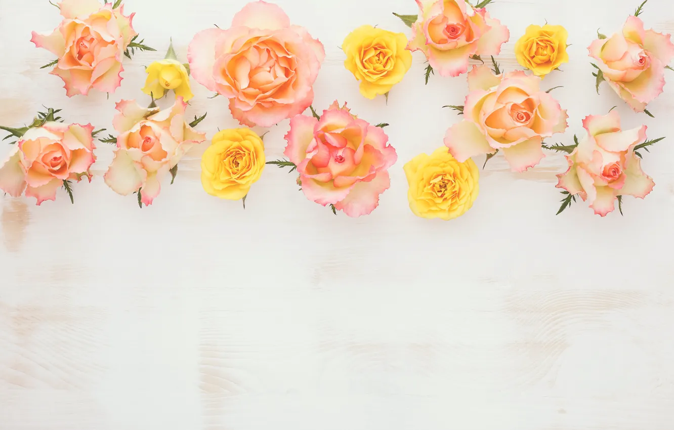 Фото обои wood, flowers, roses