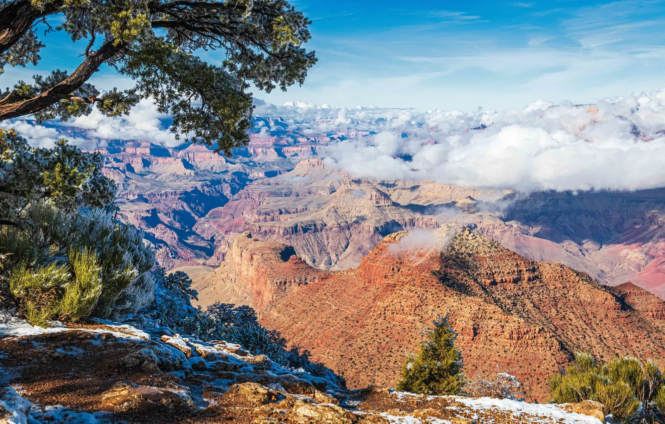 Фото обои скалы, каньон, Аризона, США, Grand Canyon