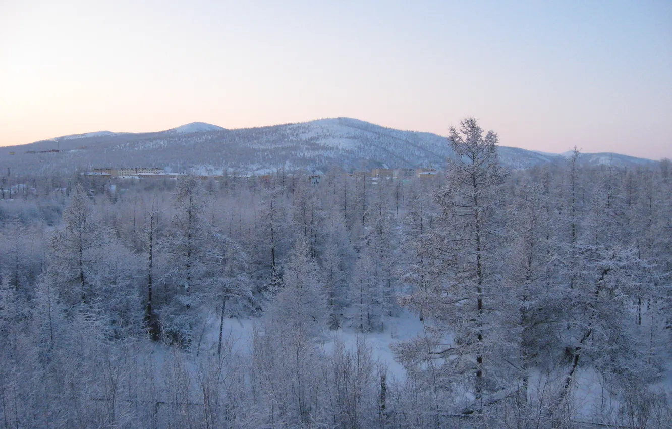 Фото обои зима, лес, рассвет, сопки, Тайга