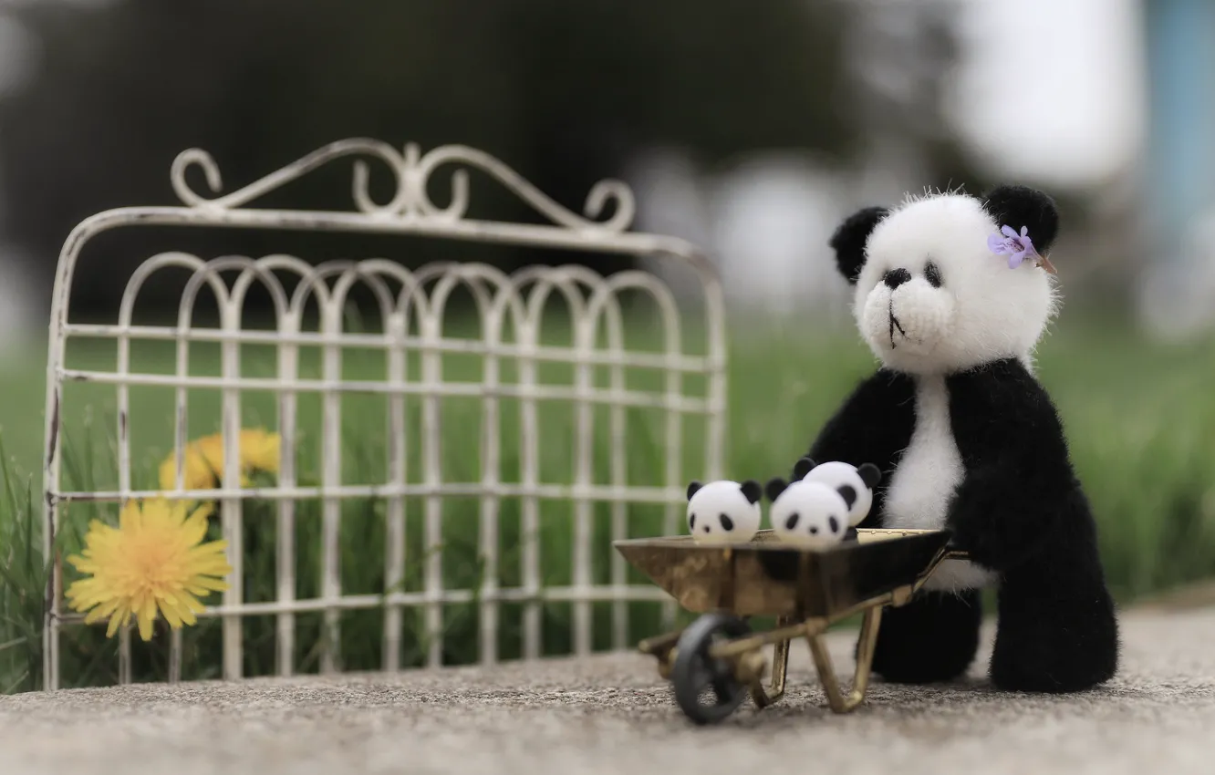 Фото обои трава, природа, детство, фон, черно-белый, игрушка, забор, медведь