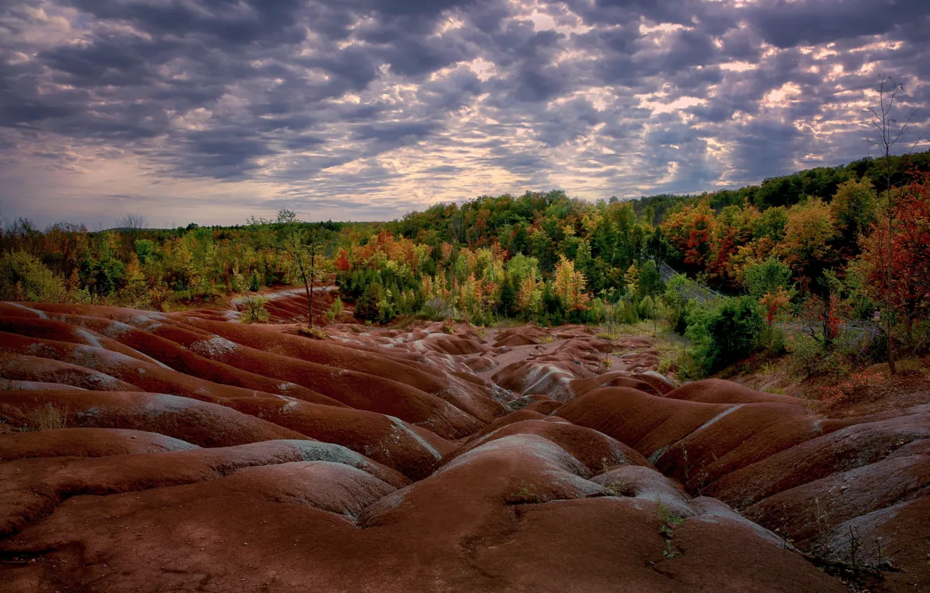 Фото обои Канада, Ontario, Cheltenham Badlands, Caledon