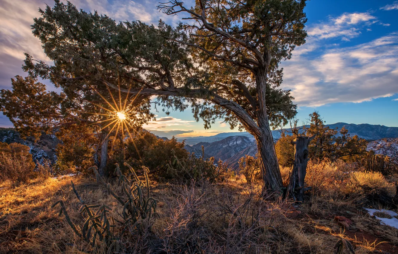 Фото обои осень, лес, горы