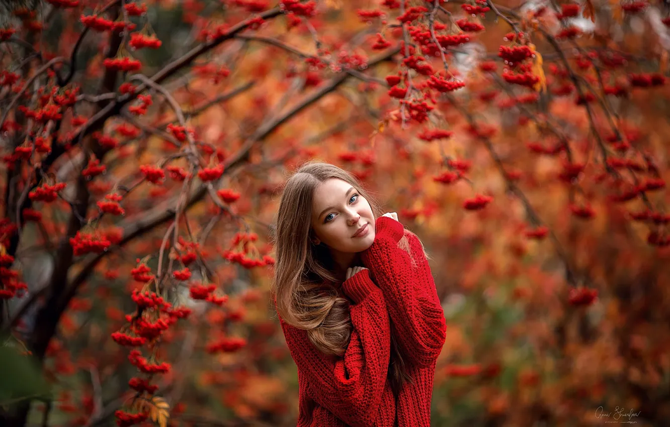 Фото обои осень, в красном, рябина, свитер, Анна Шувалова
