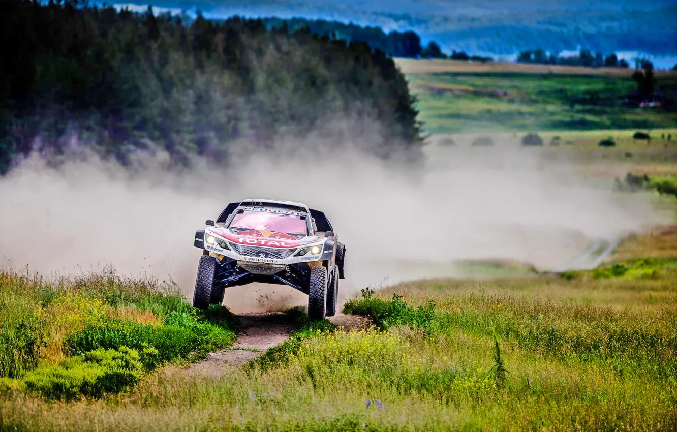 Фото обои Спорт, Скорость, Гонка, Грязь, Peugeot, Фары, Red Bull, Rally