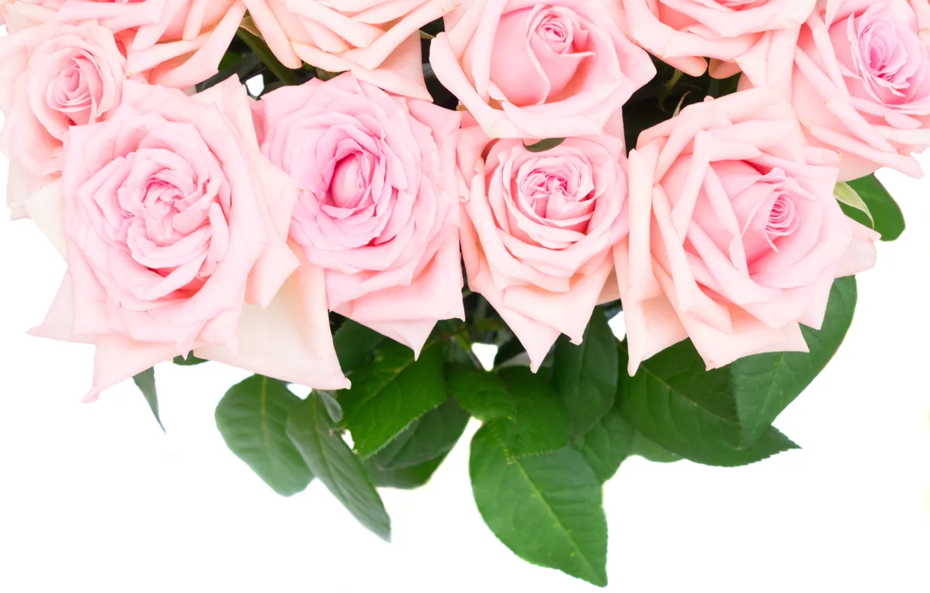 Фото обои розы, букет, pink, flowers, roses, розовые розы