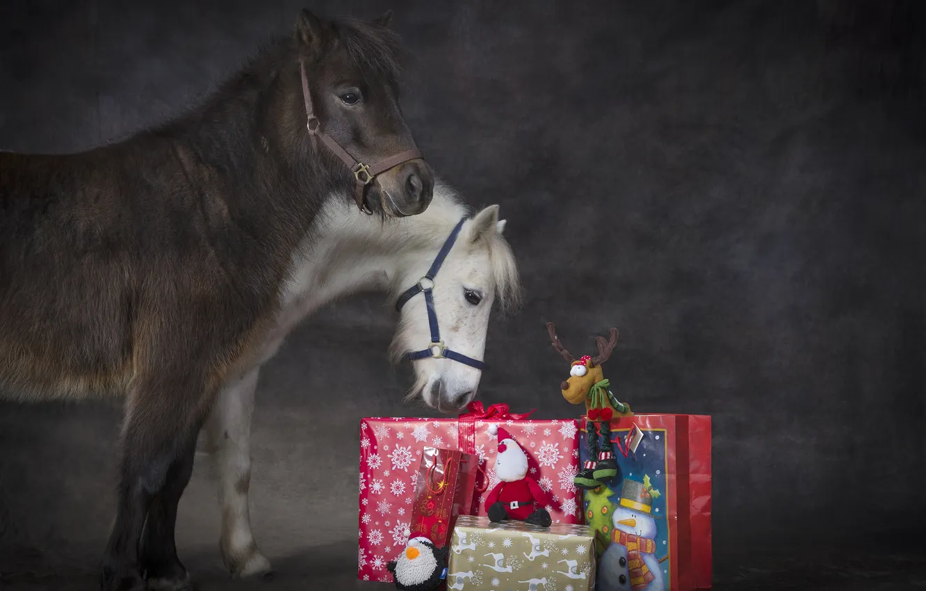 Фото обои животные, праздник, новый год, рождество, лошади, подарки, пони