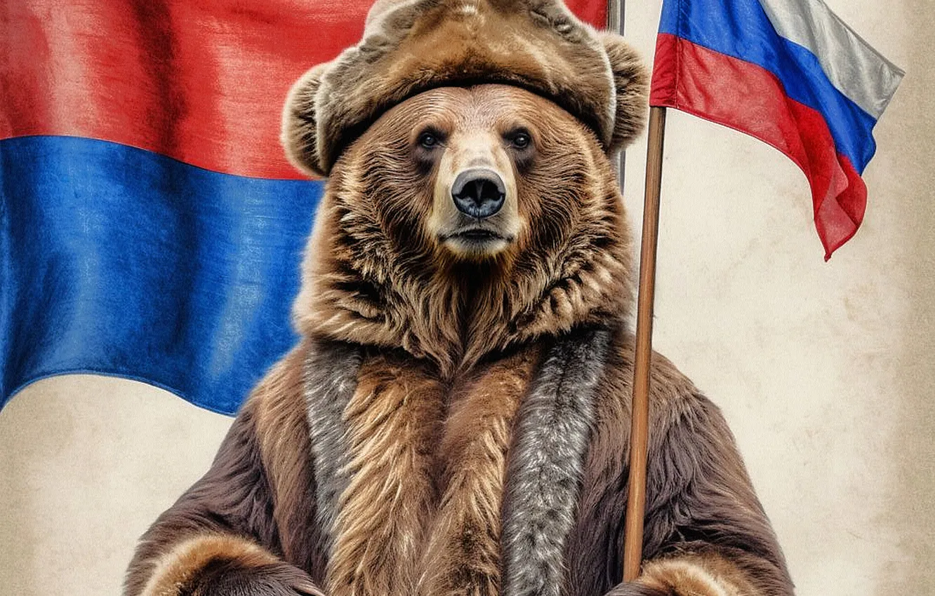 Фото обои взгляд, морда, флаг, медведь, мишка, мех, Россия, триколор