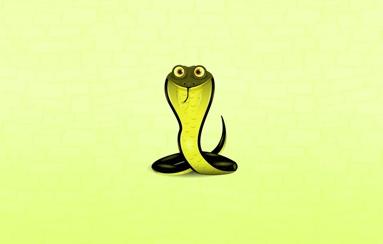 Фото обои змея, минимализм, кобра, глазастая, зеленый фон, cobra