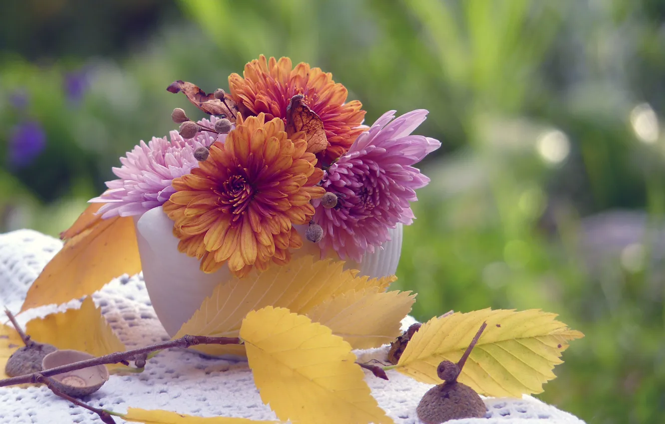 Фото обои осень, листья, цветы, природа, астры, жёлуди